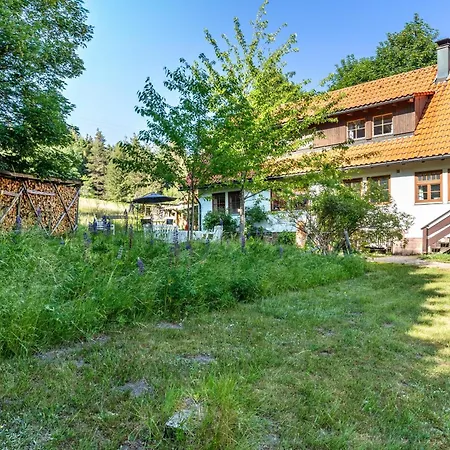 Graf Apartment Schwarzwalddorf Kniebis